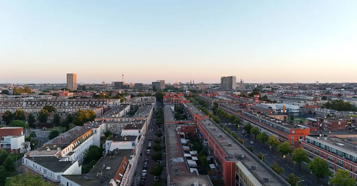 Ontdek de beste plekken voor kunst in Den Haag